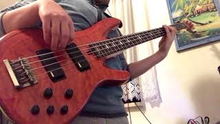 Video thumbnail of "Skupna Gadi - Poslovni oglas (bass cover)"