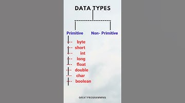 JAVA Data Types | Java interview question | Types of Data Types | #javainterviewquestions | #shorts