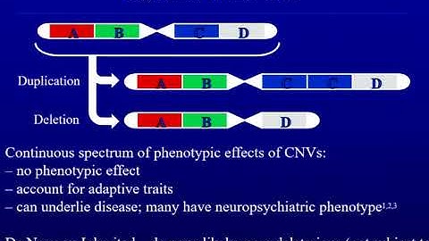 OHBM 2018 | Educational Course | Introduction to Imaging Genetics | Part 4