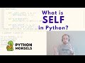 What is self in Python?