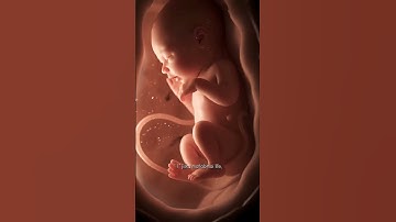 Crushverse 😎🦋 - Episode 7 : Most Beautiful Equation #shorts #coding #engineering #programming #maths