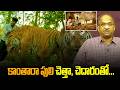 'కాంతారా పులి' చెత్తా, చెదారంతో... || Not Waste Materials, Great Creativity ||