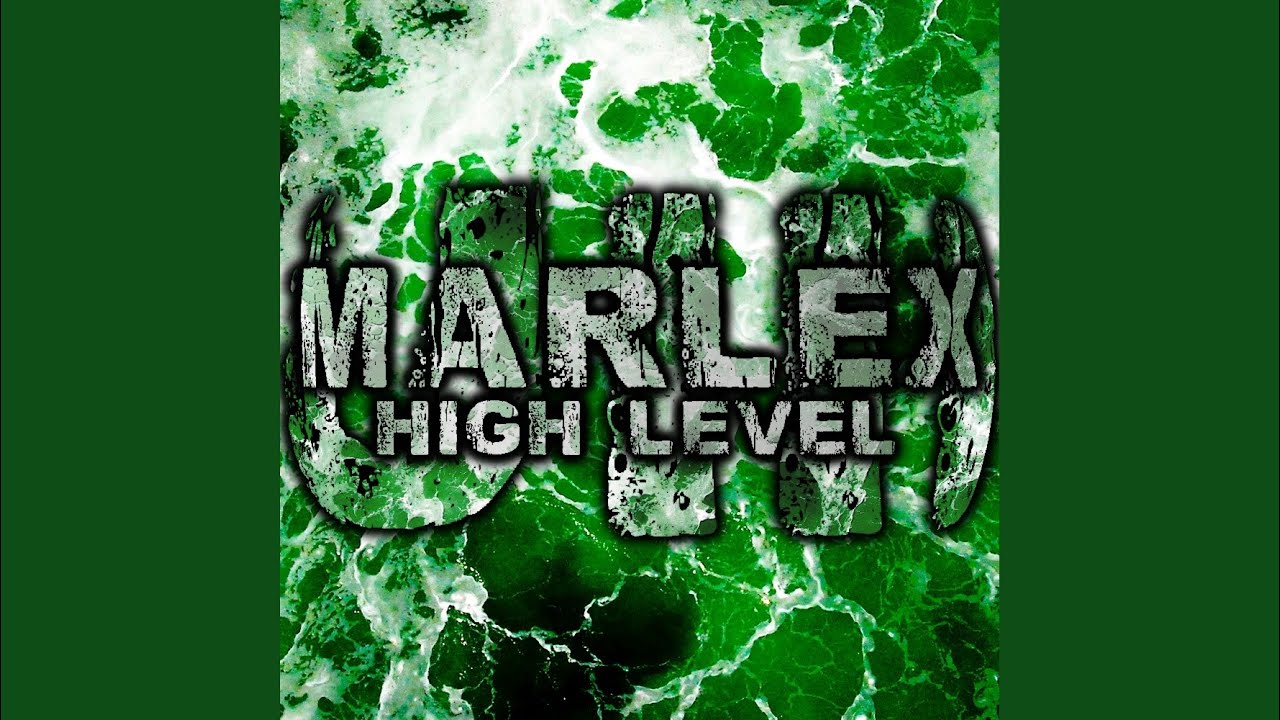 Watch High Level (Original Mix) on YouTube Watch High Level (Original Mix) on YouTube