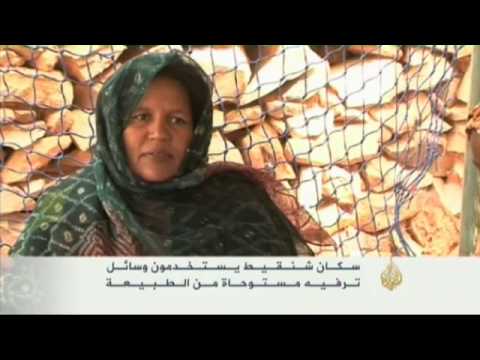 أهالي شنقيط يستخدمون وسائل ترفيهية من الطبيعة