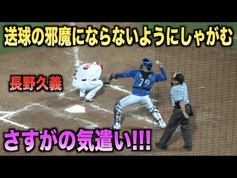 さすがの気遣い！三振しても送球の邪魔にならないようにしゃがんであげる長野久義！