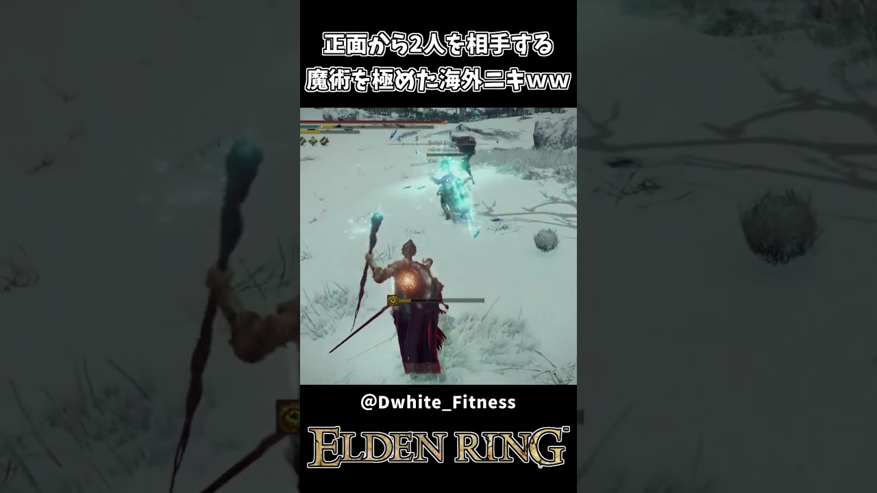 2人をボコボコにする魔術を極めた海外ニキww【ELDEN RING】