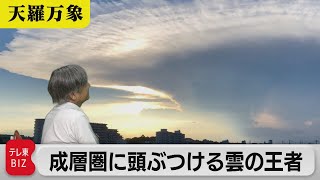 成層圏に頭ぶつける雲の王者　美しくも怖い積乱雲【久保田解説委員の天羅万象】1322023年6月30日