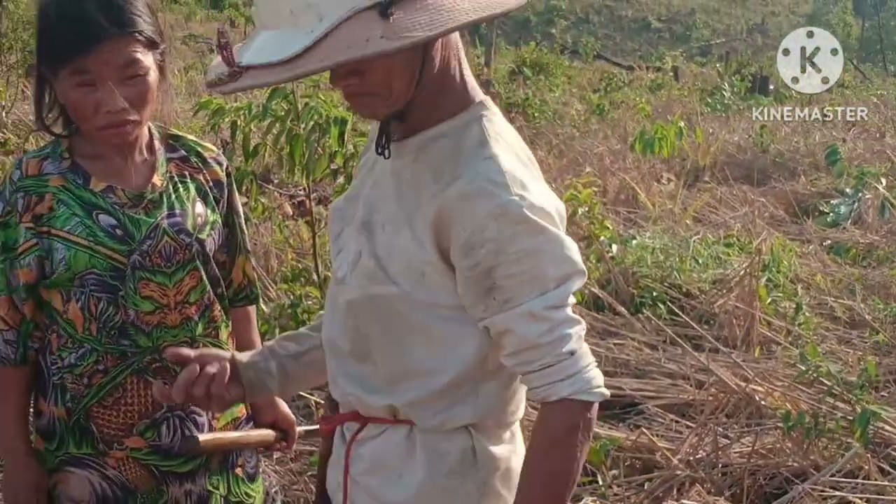 //ntxhiav niam ntxhiav txiv peb txiav nroj teb puv luj nawb 27/2/2026