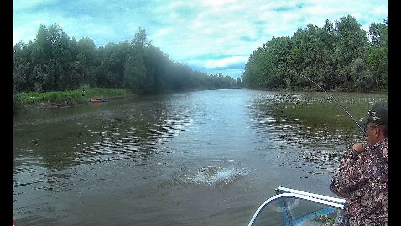 НАШЛИ БРОВКУ С КИЛОГРАММОВЫМИ ЩУКАМИ!!!Рыбалка 2019 Крупный окунь  fishing in Siberia