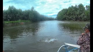 НАШЛИ БРОВКУ С КИЛОГРАММОВЫМИ ЩУКАМИ!!!Рыбалка 2019 Крупный окунь  fishing in Siberia