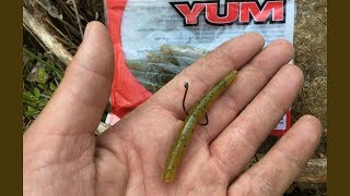 mini WACKY RIG fishing with 3'' YUM DINGER 