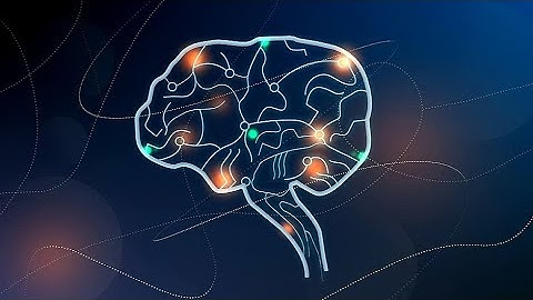 Cells Of Our Brain: Neurons And Glia