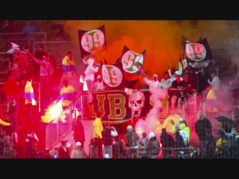 Ultras Sweden.wmv