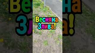 19.04.2024. (15:15) Український Харків, поливає дощем! Ворог, не Пройде!