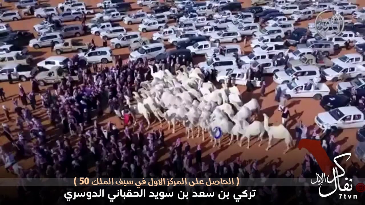 المركز الأول في سيف الملك فئة 50 - منقية : تركي بن سعد بن سويد الحقباني الدوسري