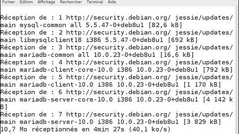 Video 8 Debian 8: configuration du serveur de BD avec mariadb