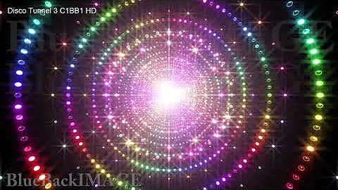 ネオンhc 動画