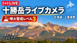 十勝岳 現在の噴煙 のライブ映像