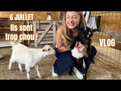July 6: They are so cute!! VLOG