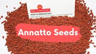 ANNATTO SEEDS || BIXA ORELLANA || Natural Food Colour