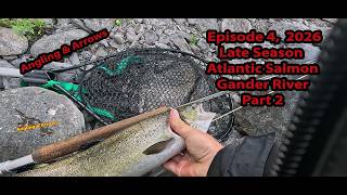 Chasing Atlantic Salmon on the Gander River | Newfoundland Fishing Trip