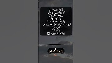 سورة الحجرات الآية ١٢ بصوت الشيخ محمد صديق المنشاوي