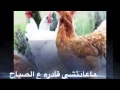 إحكي كمان ياشهرزاد ٠٠لأشرف فايز