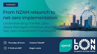 From NZAM relaunch to net-zero implementation