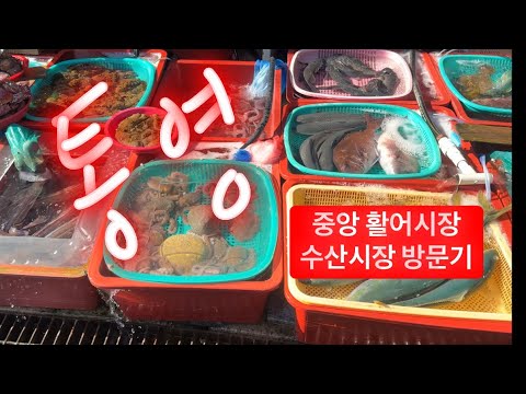 통영 수산시장 중앙 활어시장 구경편 국내여행 어시장 회센터 Korea market oyster seafood 2025/1/4