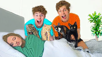 SURPRISING BESTFRIEND WITH KITTENS!!