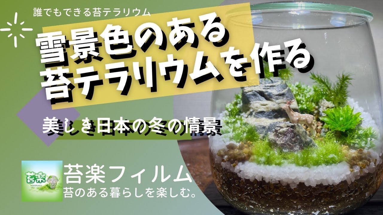 ミズゴケの魅力と植え付け方法 苔テラリウム Youtube ミズゴケの魅力と植え付け方法 苔テラリウム Youtube
