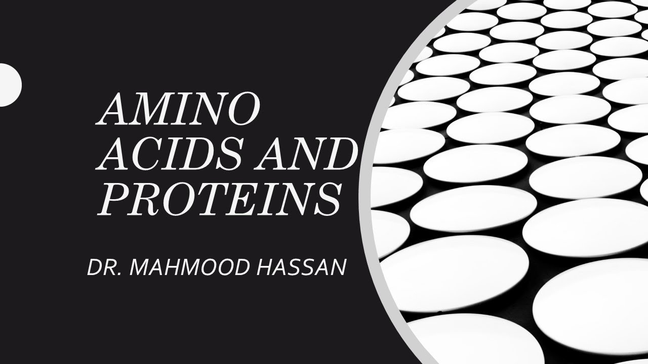AMINO ACIDS AND PROTEINS PART 1 / UNITY / SB1 3U1 / A LEVEL BIOLOGY