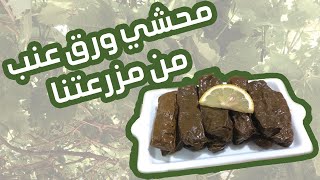 محشي ورق عنب من مزرعتنا