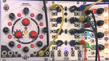Modular Wild Presents SOUNDS Steady State Fate Propagate Gate Delay