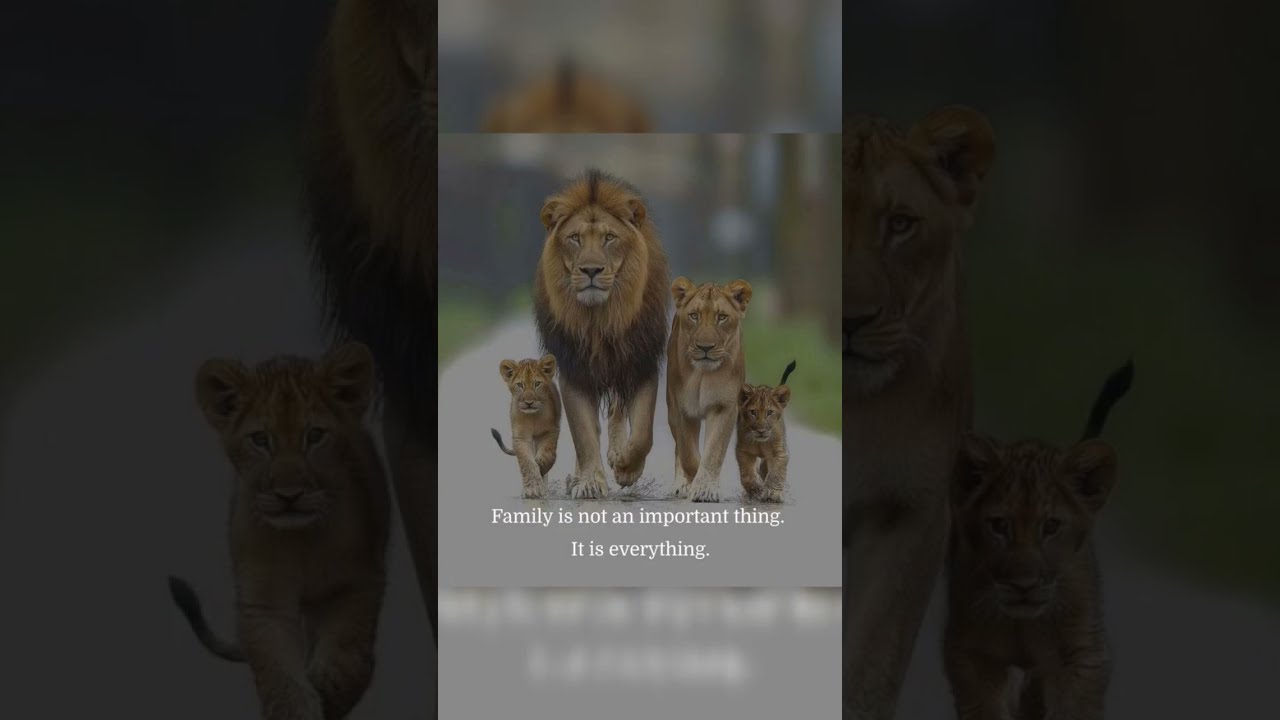  Family Is Not Just Important It S EVERYTHING Lion Motivation Shorts Viral Facts