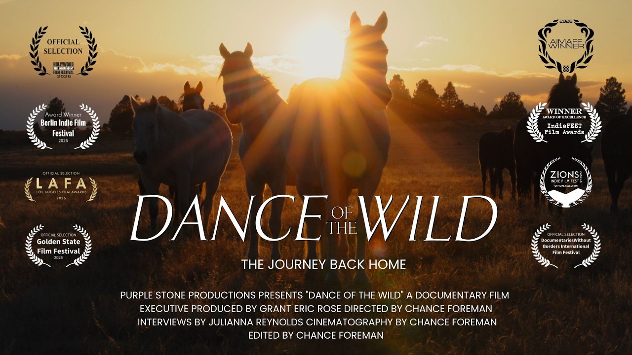 Dance Of The WIld (official trailer)