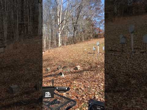 12 hits in 4 seconds between 4 targets at 10 yards with P365 XL