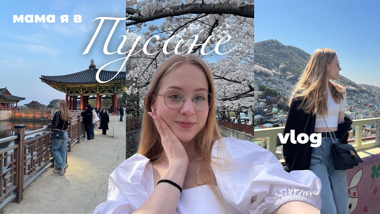 ЮЖНАЯ КОРЕЯ: ПУСАН | цветение сакуры, исполнила мечту, познакомилась с корейцем, попала в дораму??