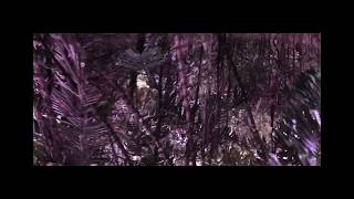 Misaa Contradiction Cave