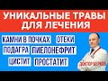 Лечение травами. Болезни почек. Камни в почках. Подагра. Отеки. Давление. Мешки под глазами. Детокс.