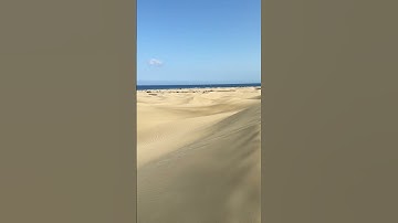 #سورة_الإخلاص #ikhlas #egzonibrahimi #اكسبلور #aquarium #fish