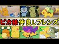 【ピカ様】『サトシのピカチュウ』の仲良しポケモンまとめ【可愛い子分や友達を紹介】