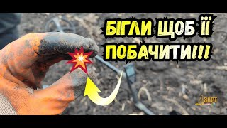 Знахідка джекпот!Античне золото! Ми в шоці!#minelab #gold #рекомендации #коп #пошукзметалошукачем