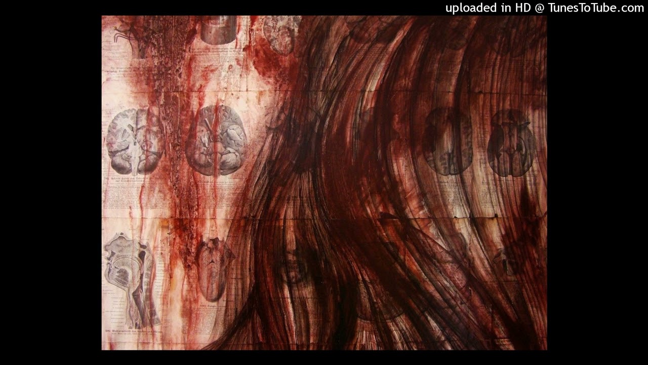 {FREE} amir + 800 pts type beat