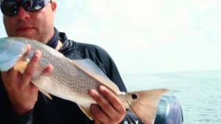 The Best Fishing Line in the World!