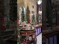 Best Christmas Decorating Ideas in 2025 | xmas lights | lights at christmas