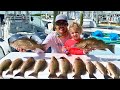 *Mangrove* Snapper! Catch Clean Cook! Sadie's first fish!