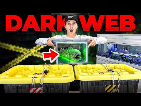 I Bought The Scariest Live EEL Box Off The Web