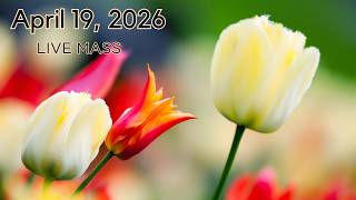 Third Sunday of Easter 4-19-2026