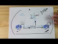 What is DHCP and How does it work?